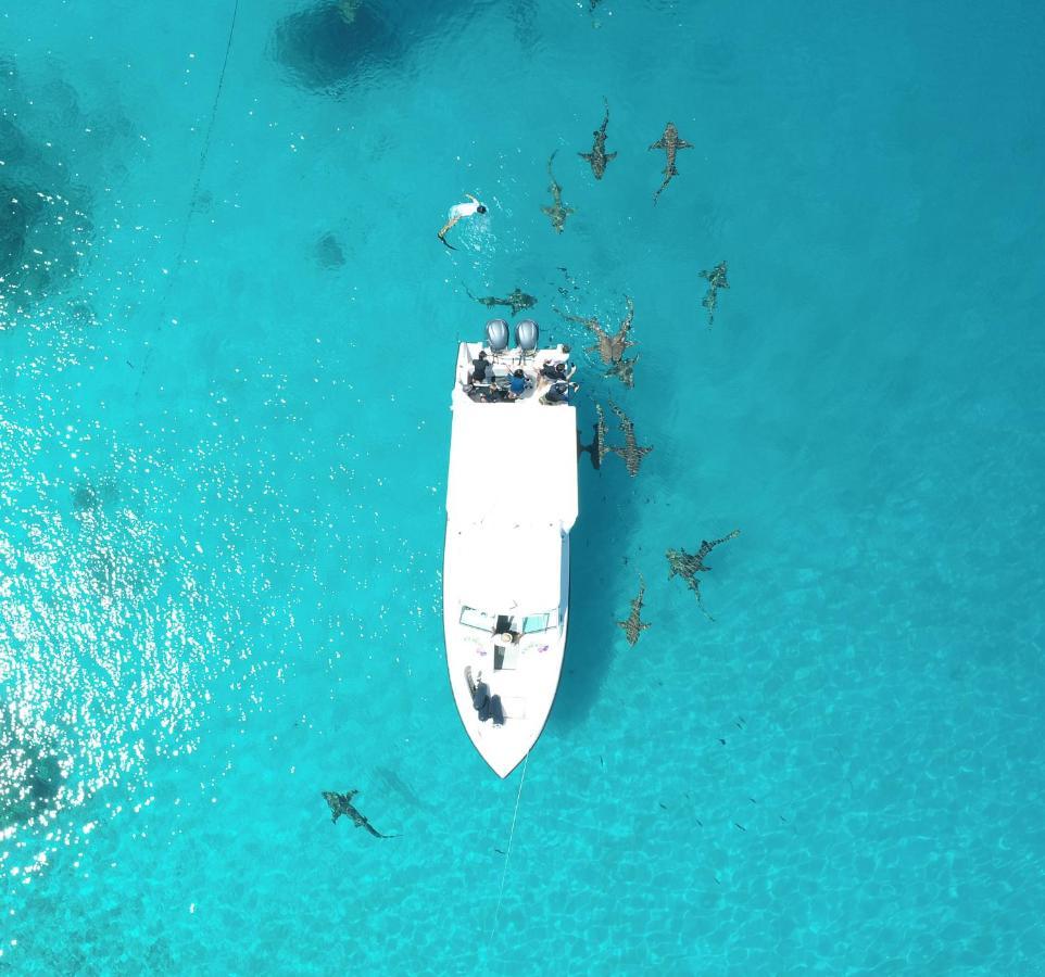 Hotel Ecoboo Maldives Thinadhoo  Exteriér fotografie